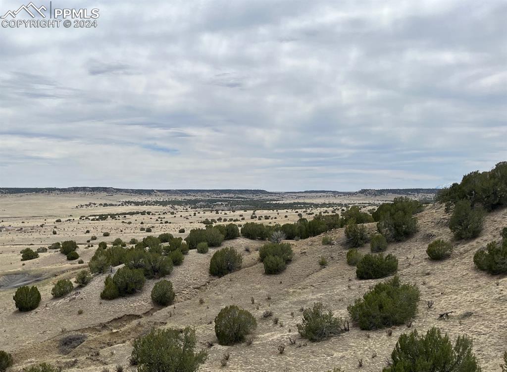 Image 5 of 12: Other