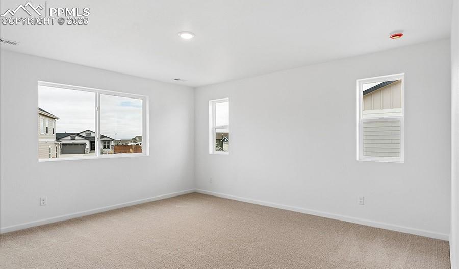 Image 17 of 22: No Description Available