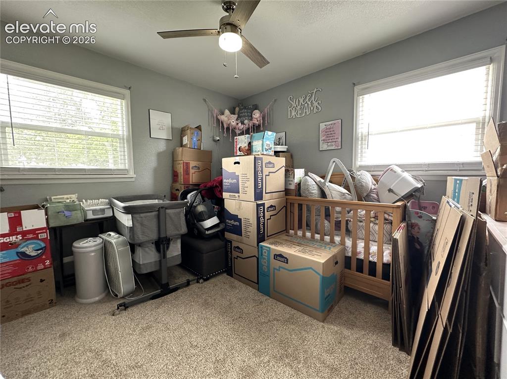 Image 9 of 14: Other