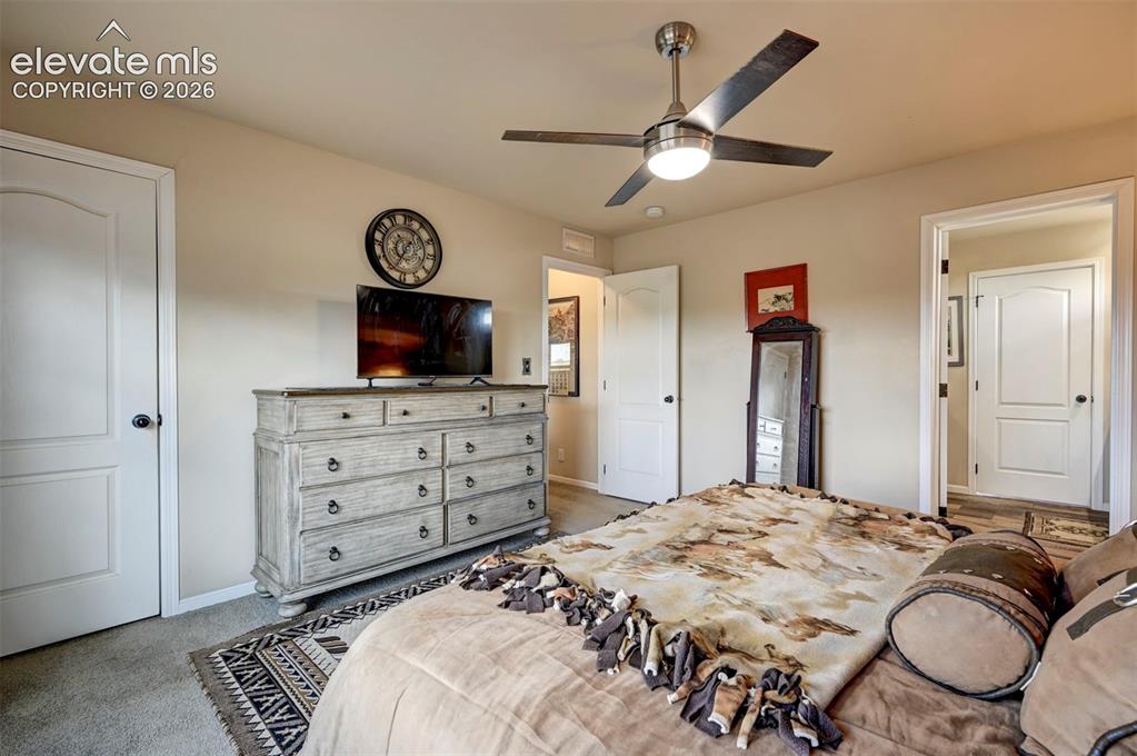 Image 26 of 50: Neutral wall color with white trim