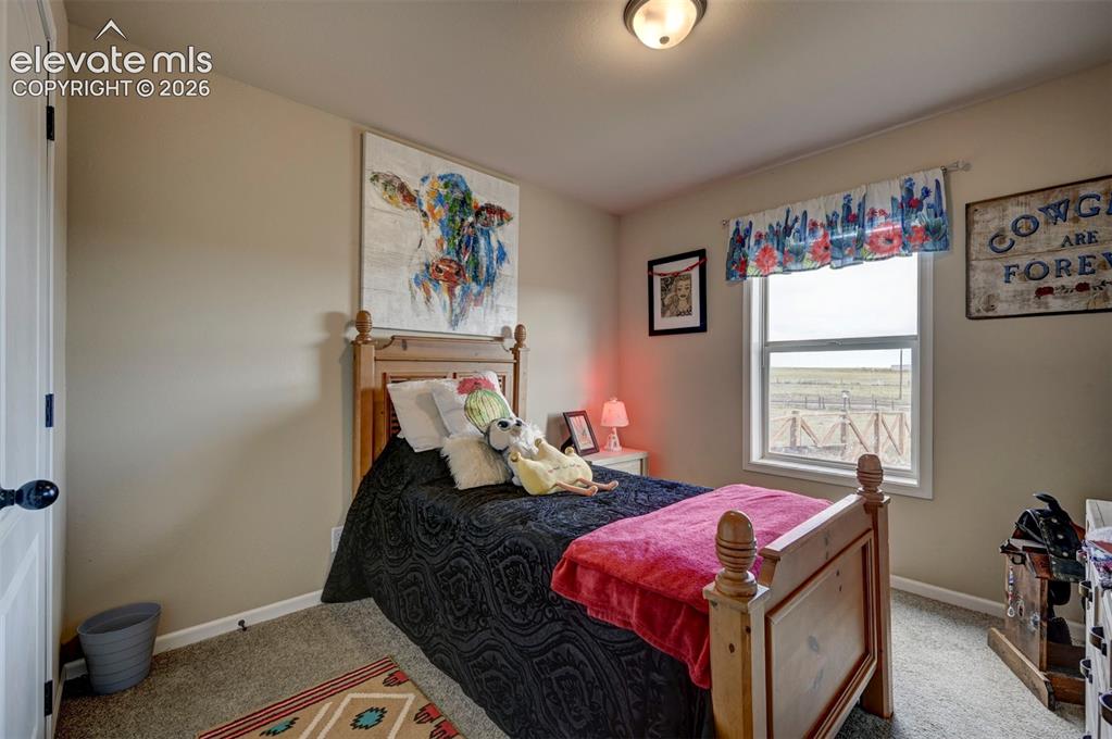 Image 32 of 50: Carpeted flooring, neutral wall tones, and a window with a white frame