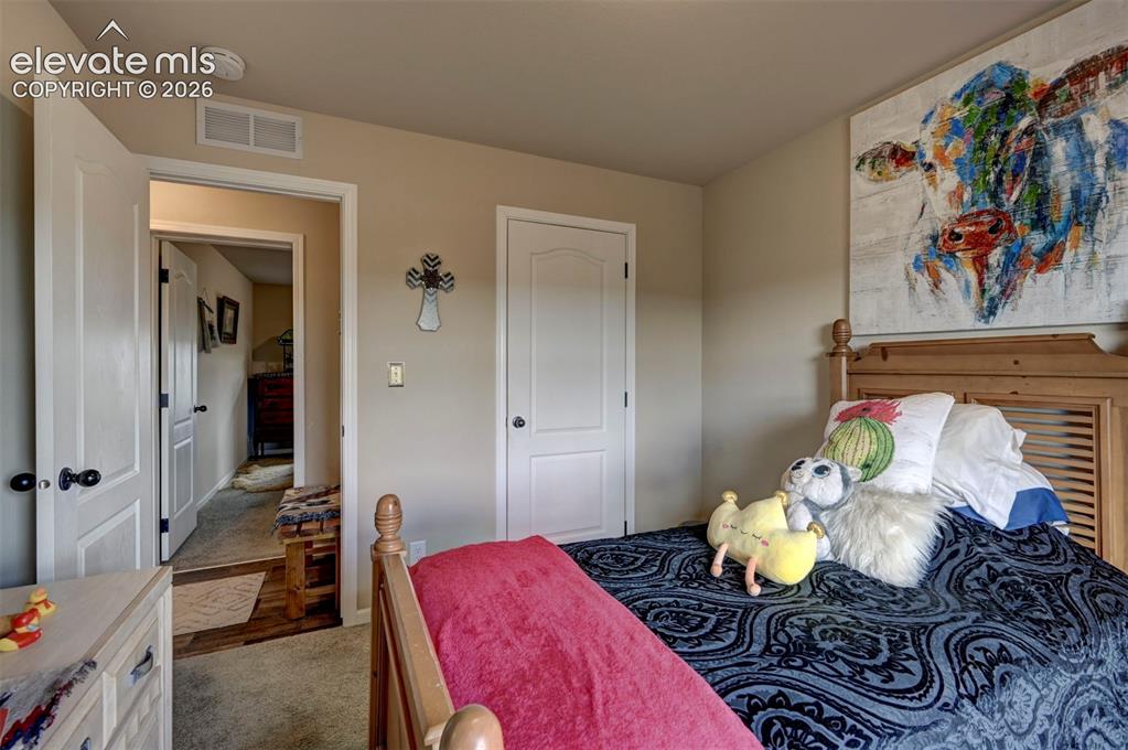 Image 33 of 50: Wall-to-wall carpeting, painted interior doors, and a wood-finish headboard