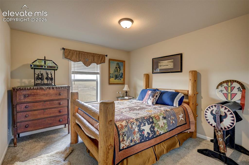 Image 34 of 50: Neutral wall paint with carpet flooring