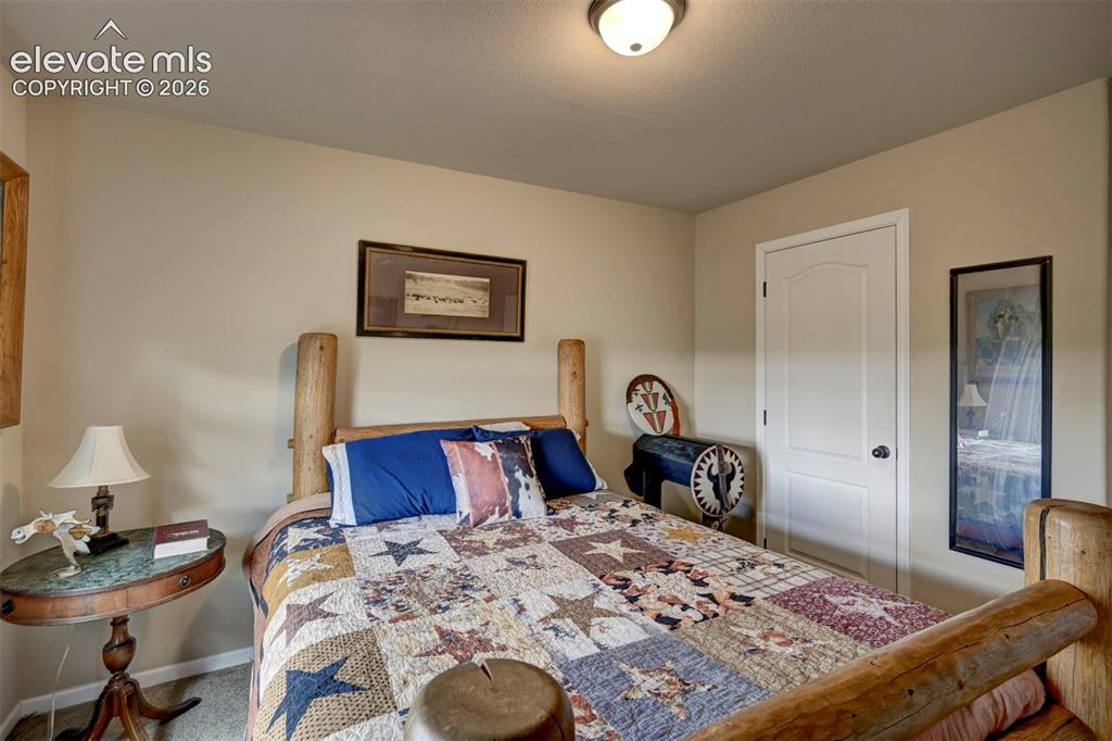 Image 35 of 50: Carpet flooring with neutral wall paint and a white paneled door