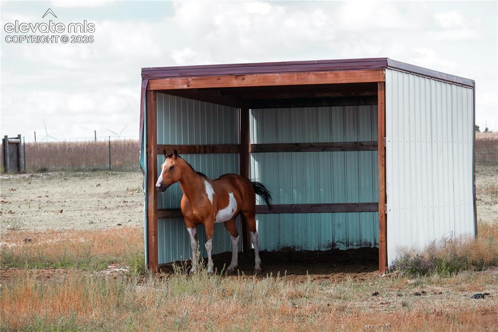 Image 44 of 50: loafing sheds
