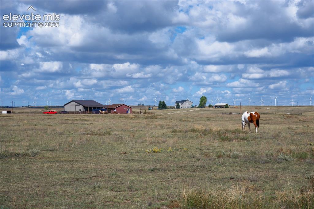 Image 46 of 50: near the back of the 35 acres property. horses grazing