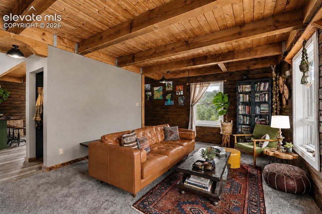 Image 16 of 46: Living Room