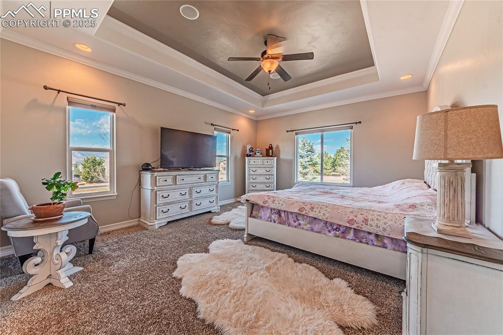 Image 10 of 36: Bedroom with a ceiling fan, a tray ceiling, carpet, crown molding, and base