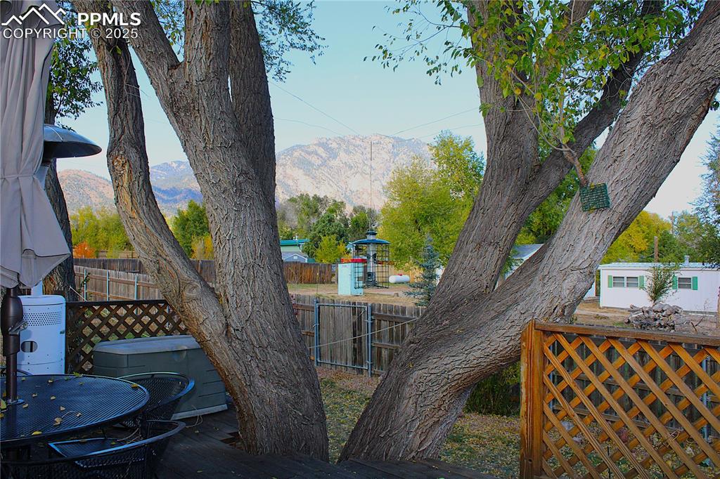 Image 6 of 48: View of mountain background from tree on the deck.
