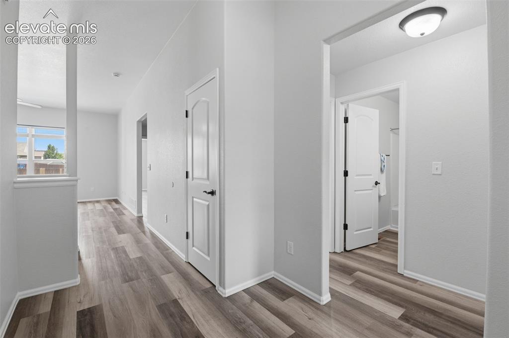 Image 6 of 50: New Paint makes the home light and inviting.