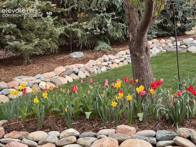Image 47 of 47: Beautigul flowers blooming in the yard in the Springtime. 