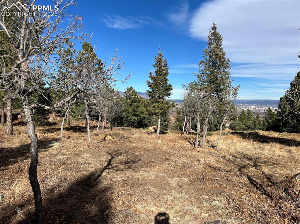 Image 10 of 14: Other