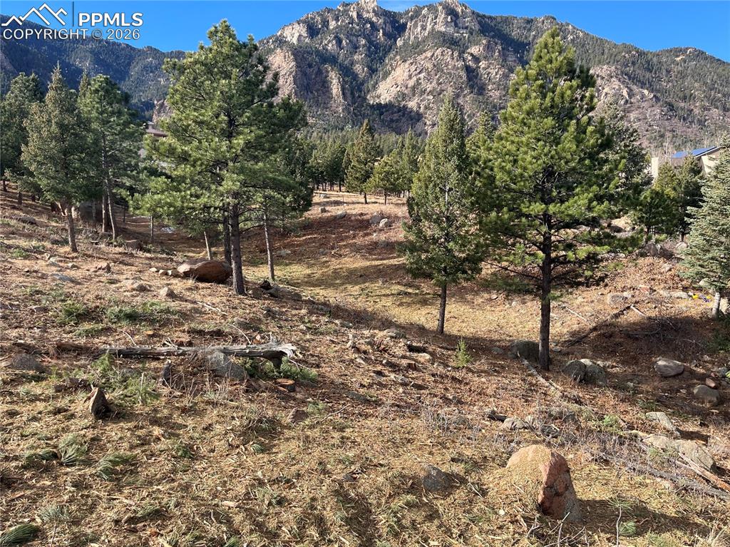 Image 13 of 14: View