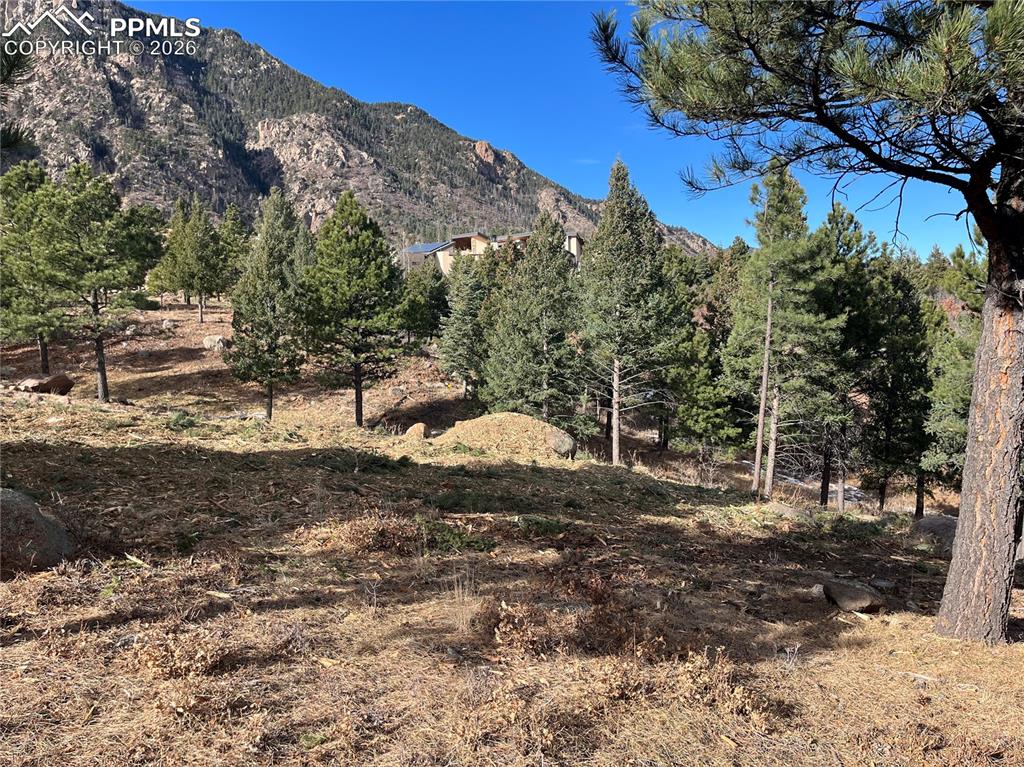 Image 14 of 14: View