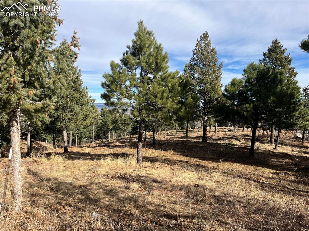 Image 3 of 14: Other