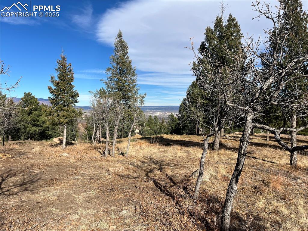 Image 4 of 14: Other