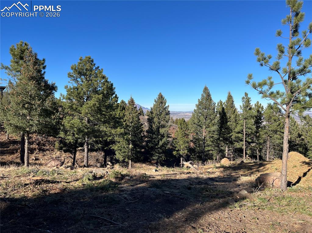 Image 7 of 14: Other