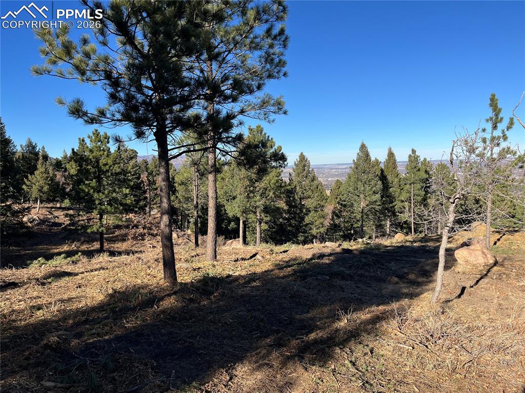 Image 8 of 14: Other