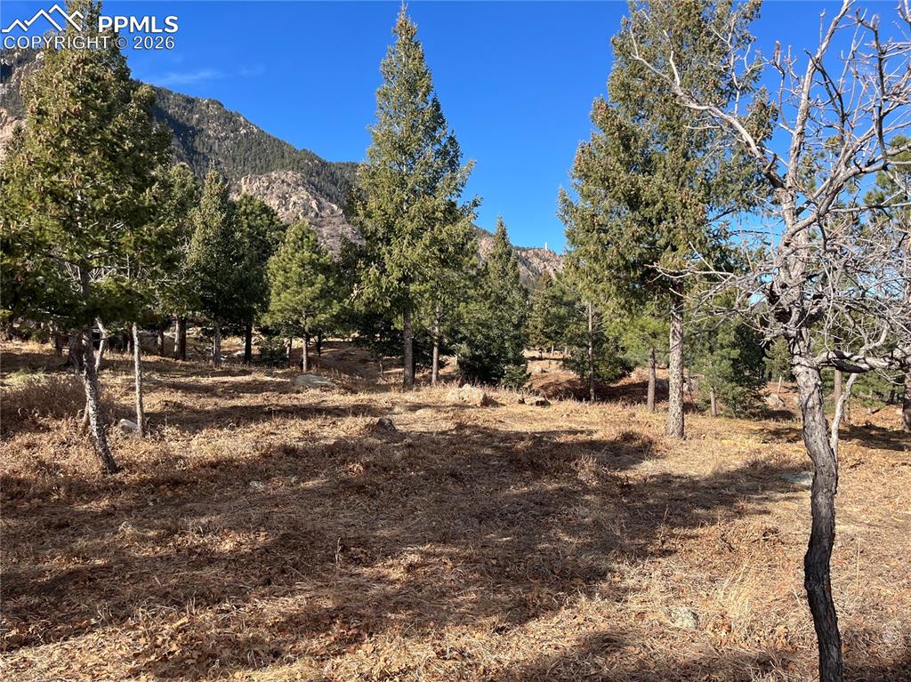 Image 9 of 14: Other