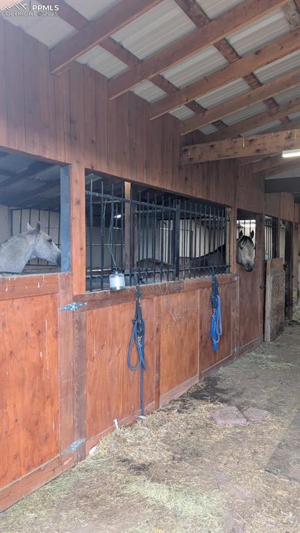 Image 36 of 38: Stable