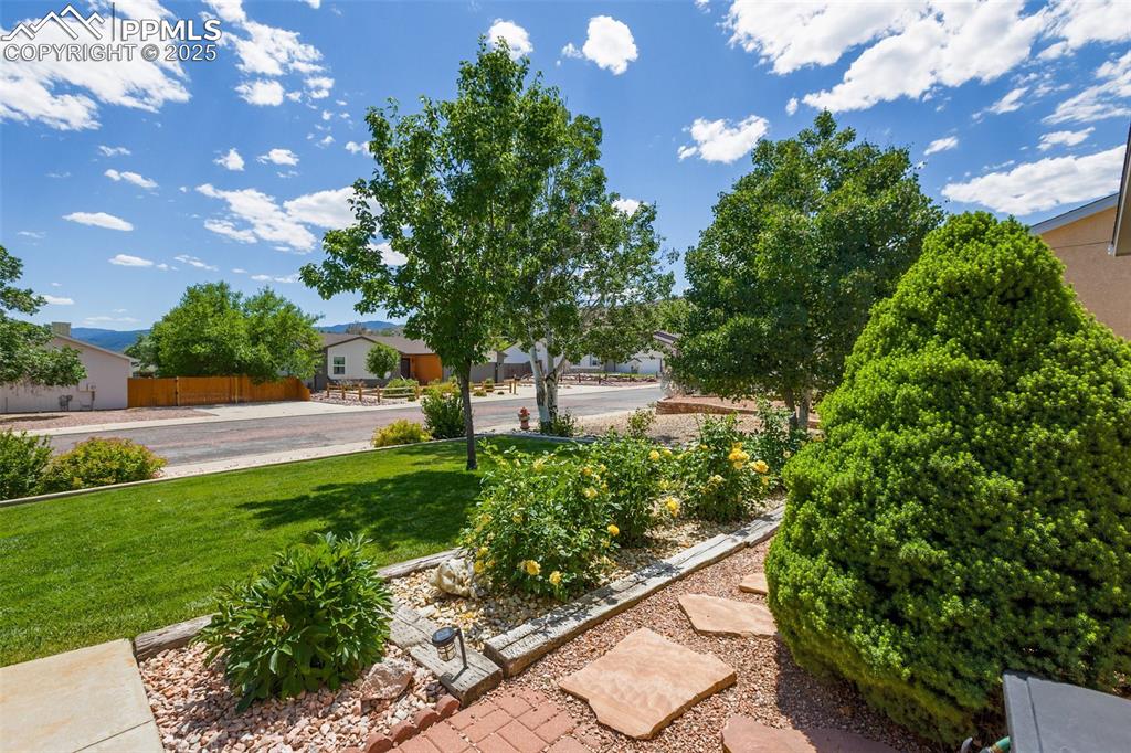 Image 4 of 47: Yard
