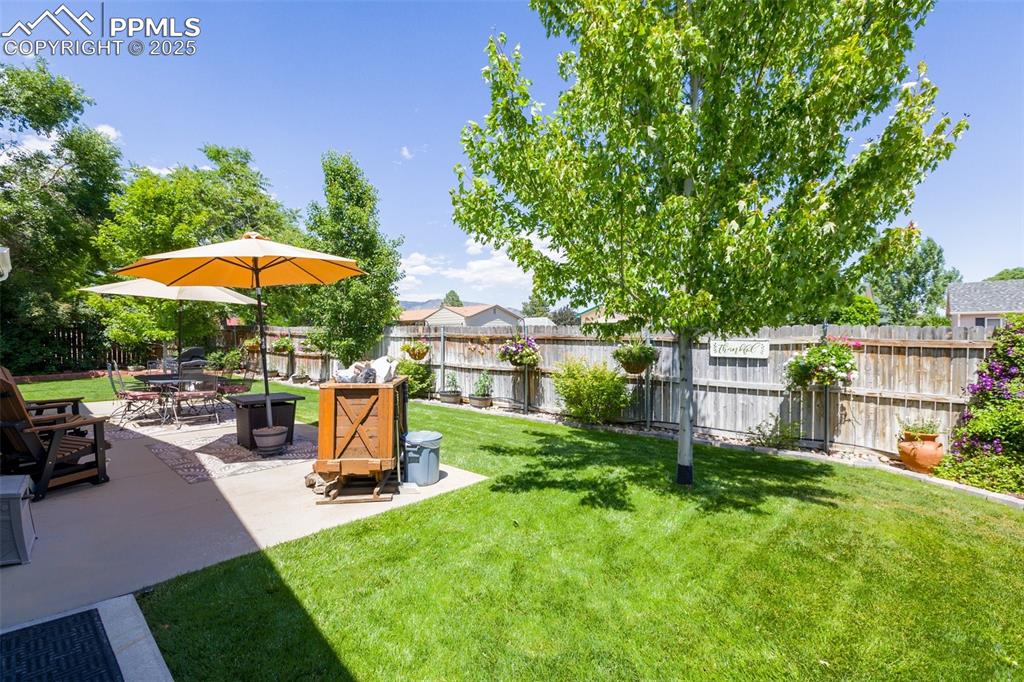 Image 6 of 47: Yard