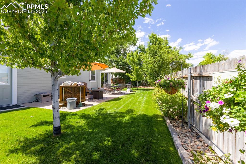 Image 7 of 47: Yard