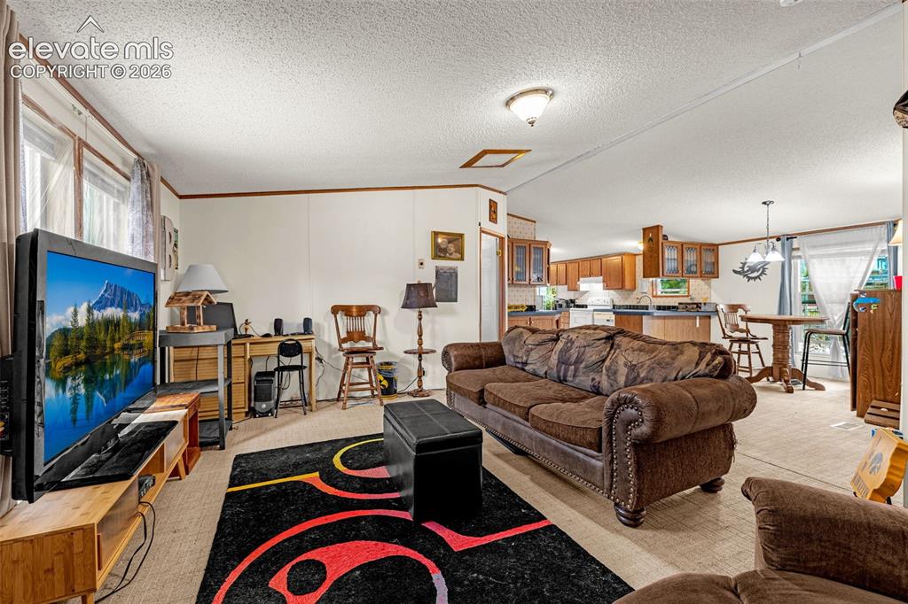Image 10 of 38: Living Room