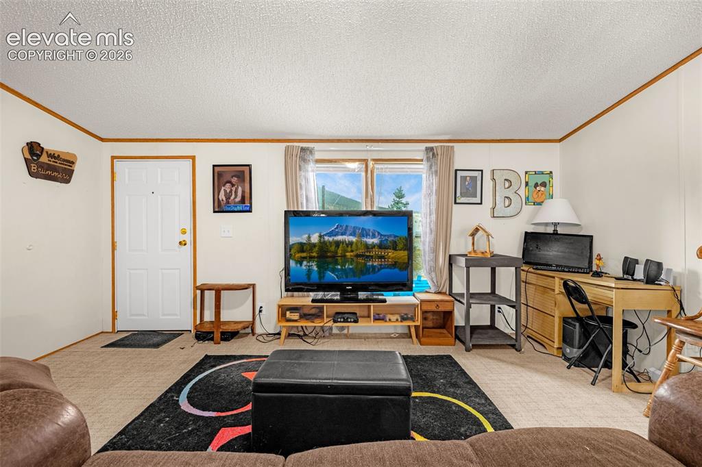 Image 11 of 38: Living Room