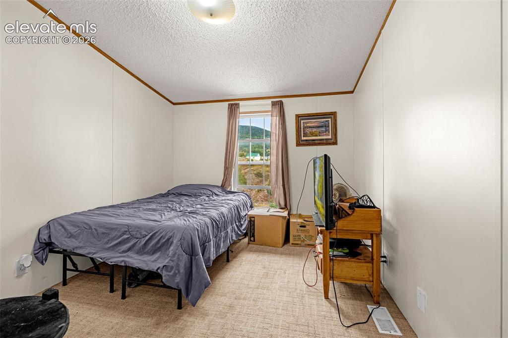 Image 19 of 38: Carpeted room with a window, white walls, and a textured ceiling with a flu