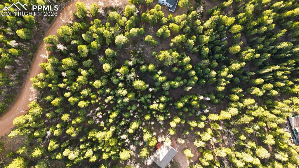 Image 17 of 23: Aerial View