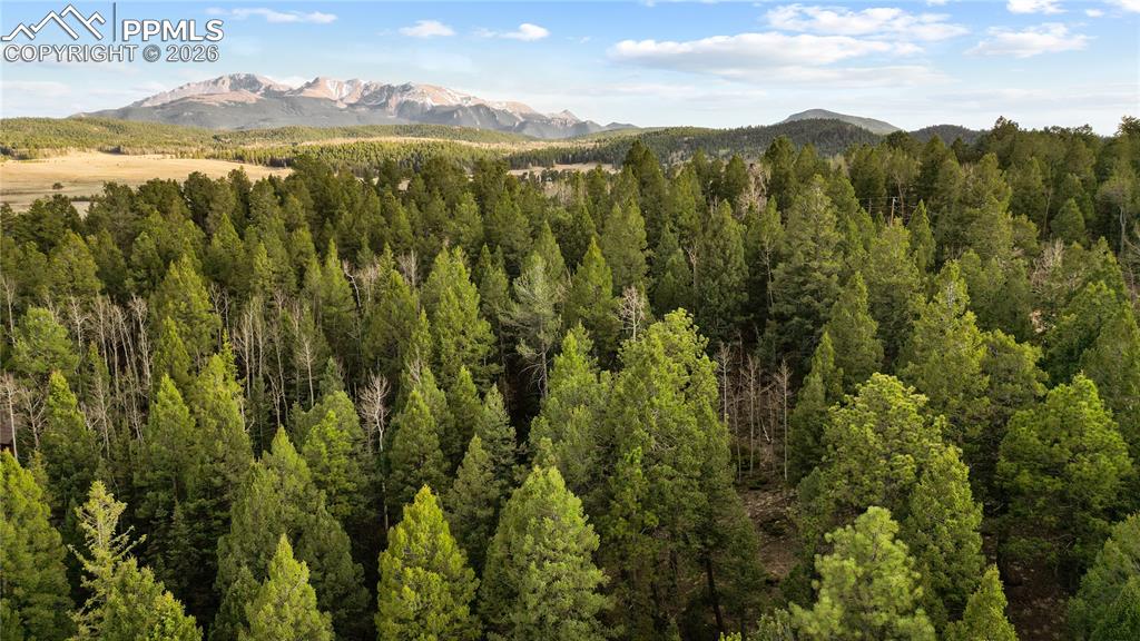 Image 22 of 23: Aerial View