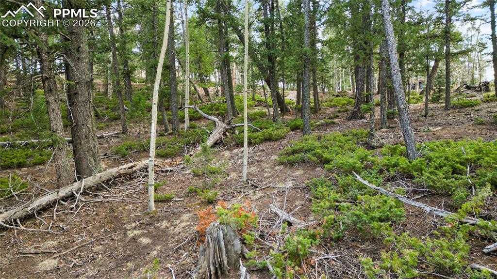Image 4 of 23: Lot