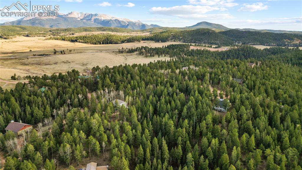 Image 7 of 23: Aerial View