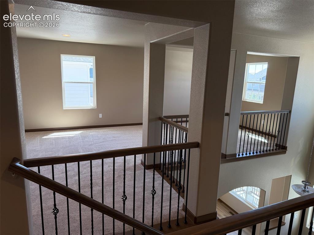 Image 9 of 20: Other