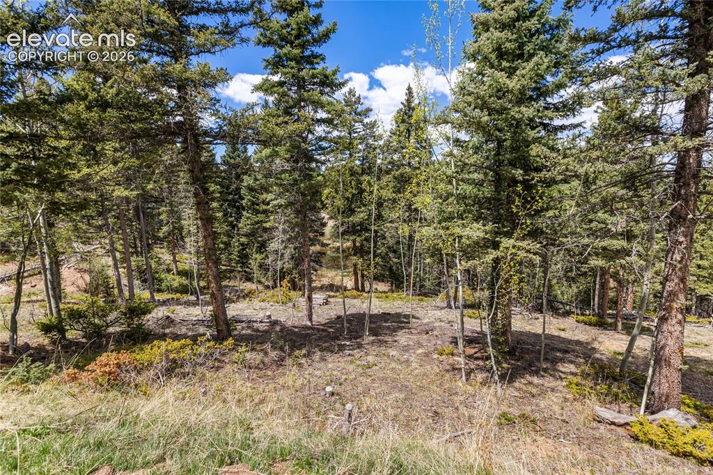 Image 39 of 40: Wooded lot featuring mature pine trees and aspen groves