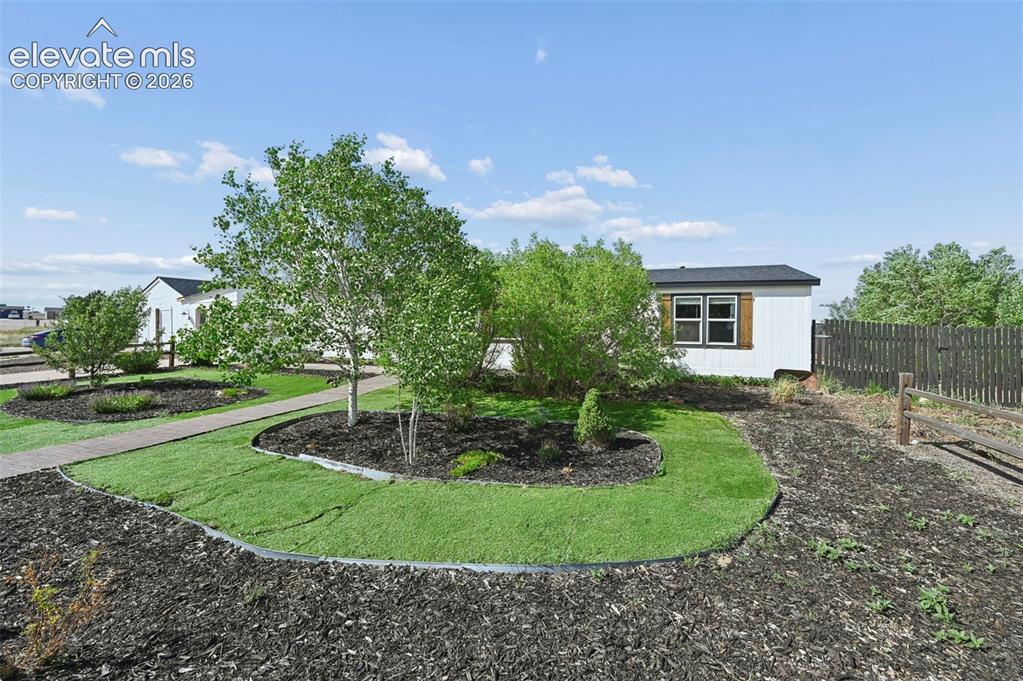 Image 4 of 44: Established Trees, Fruit bushes and flowers.