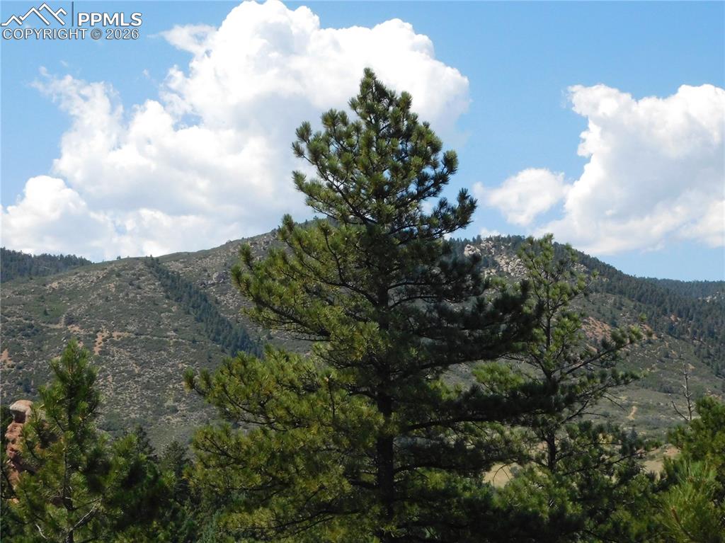 Image 40 of 46: View from lot