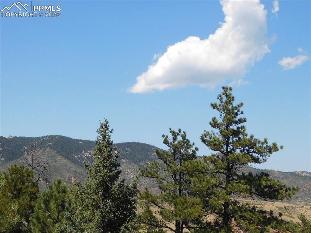 Image 41 of 46: View from lot