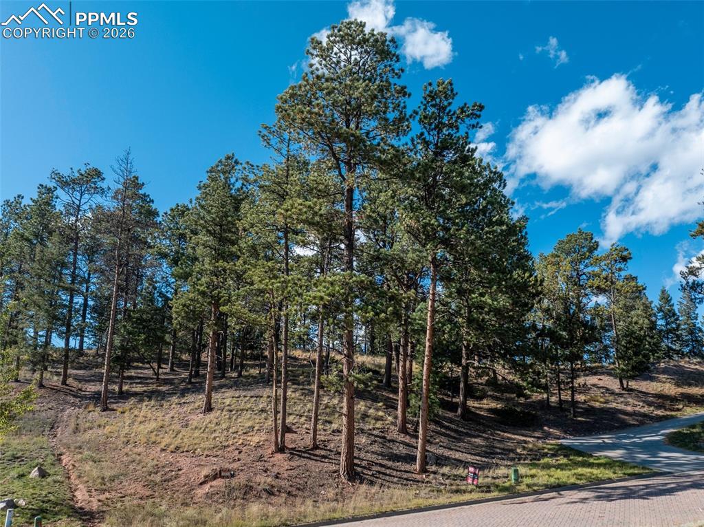 Image 10 of 20: Other