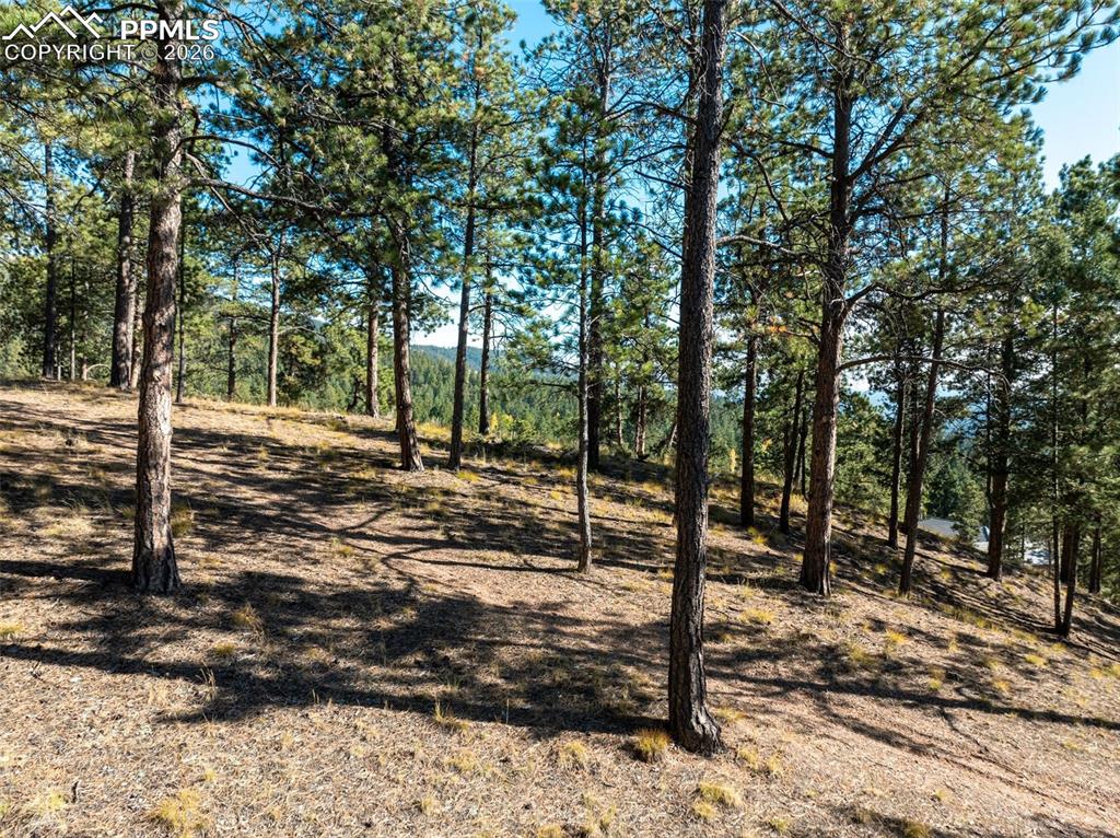 Image 13 of 20: Yard