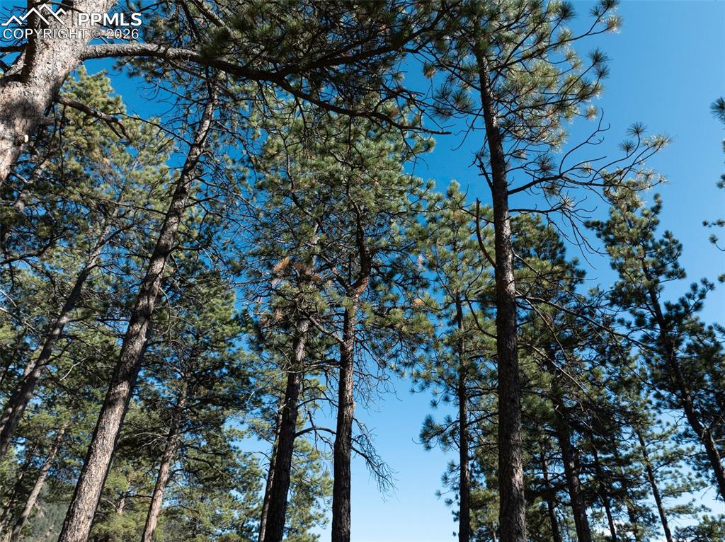 Image 14 of 20: Other