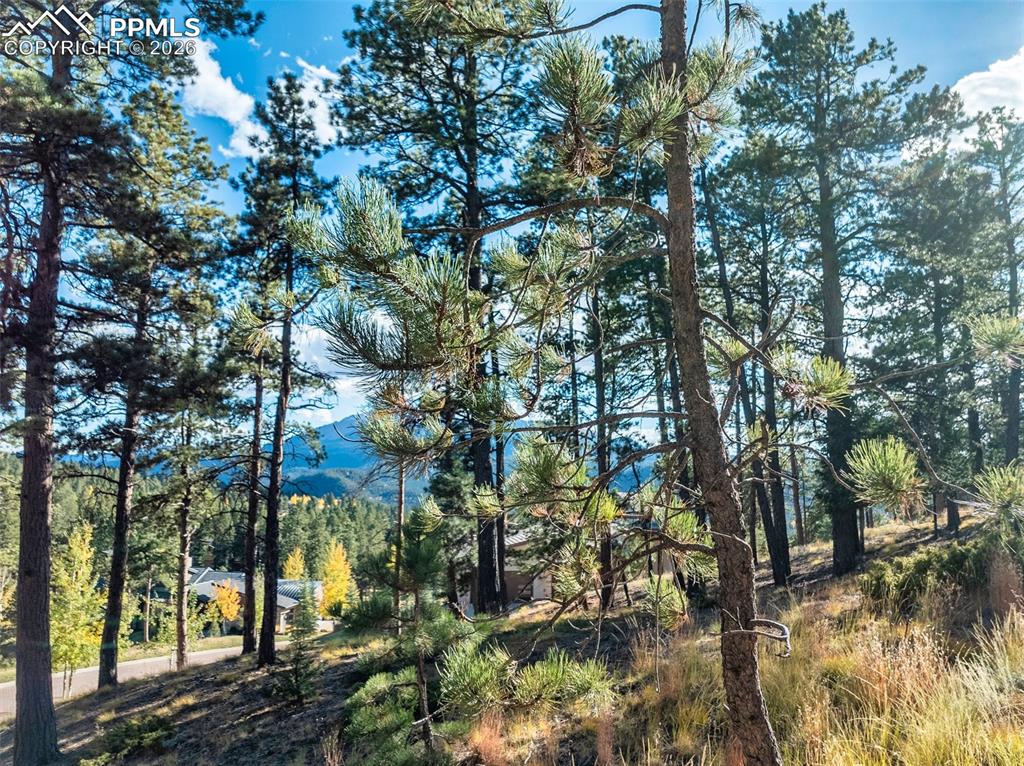 Image 16 of 20: Other