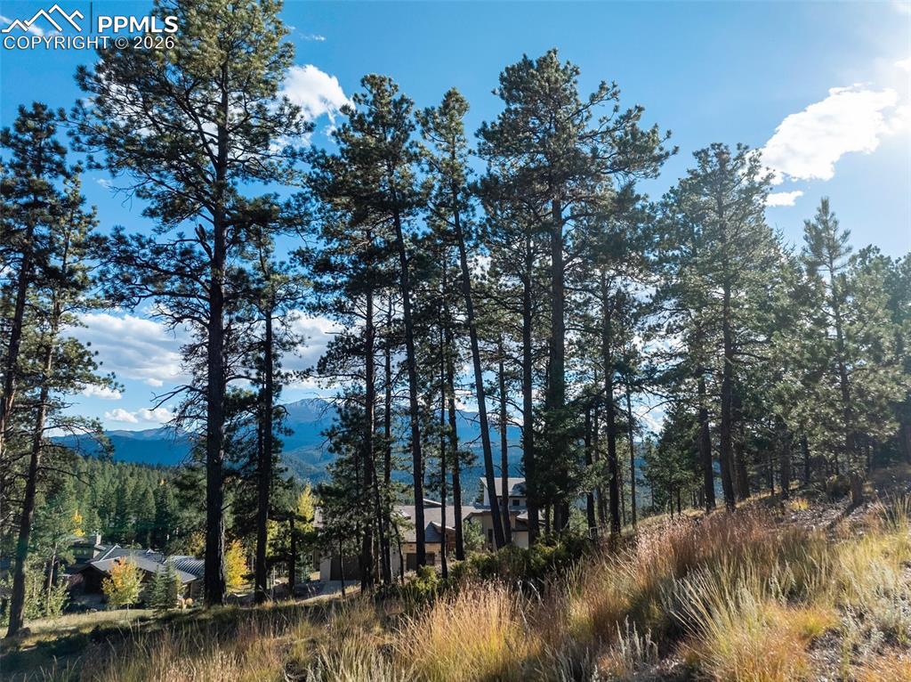 Image 17 of 20: View