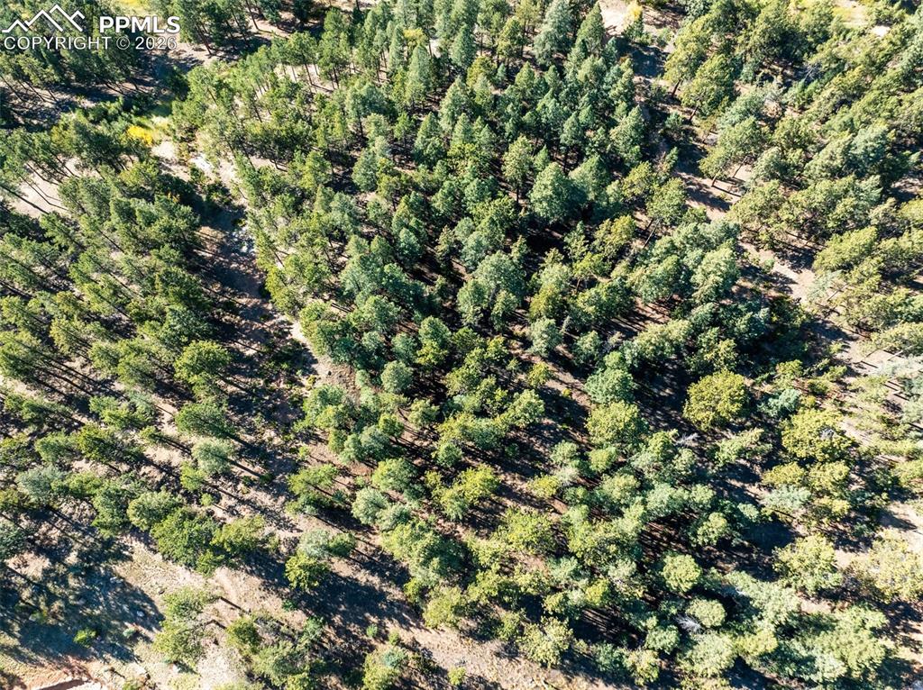 Image 19 of 20: Aerial View