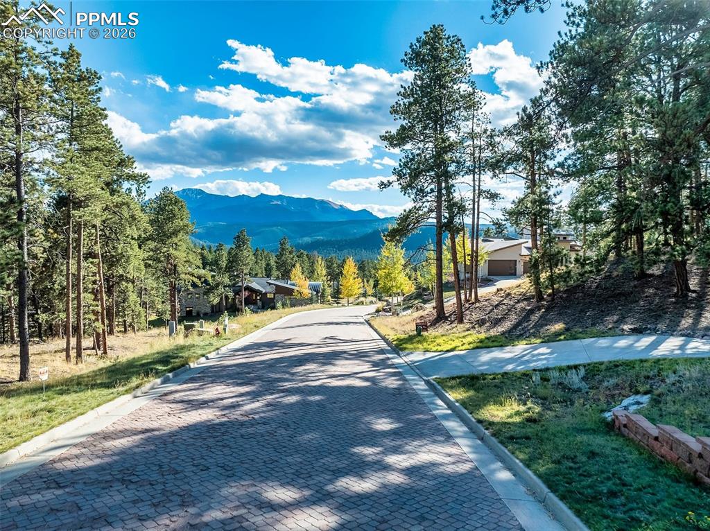 Image 2 of 20: Community