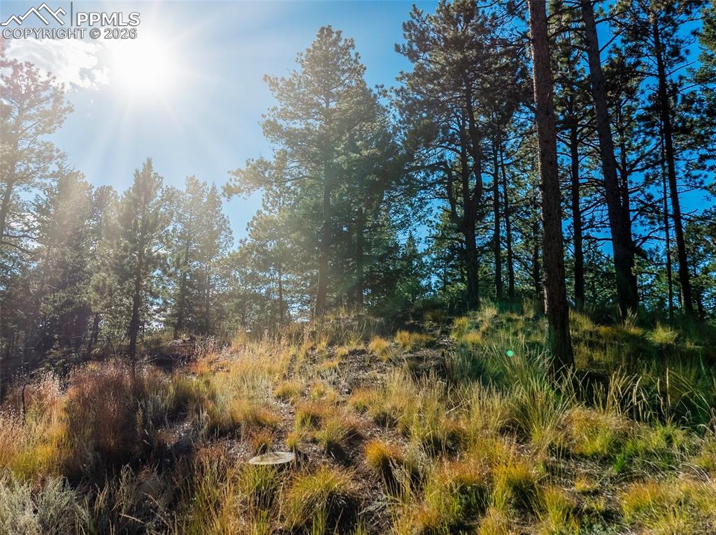 Image 7 of 20: Other