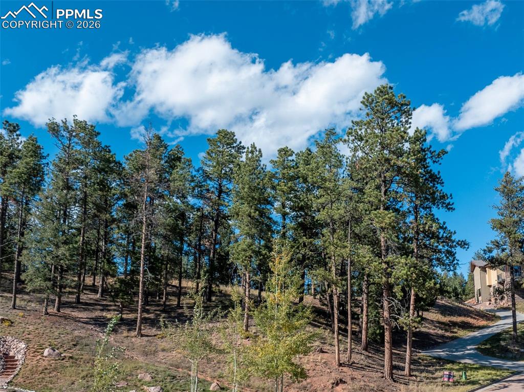 Image 8 of 20: Other