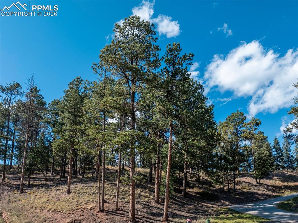 Image 9 of 20: Other