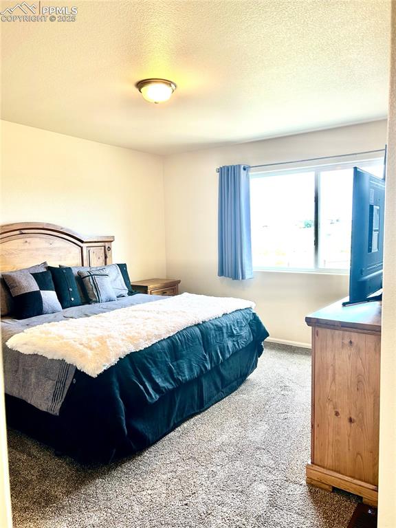 Image 15 of 41: new carpet